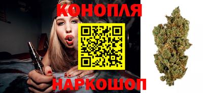 трава Будённовск