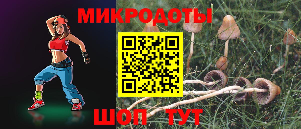 Псилоцибиновые грибы мицелий  где купить наркотик  Междуреченск  Вход с VPN 