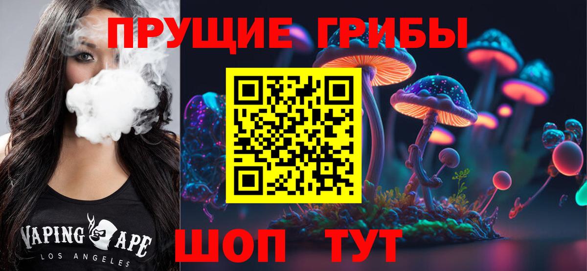 Псилоцибиновые грибы GOLDEN TEACHER Междуреченск