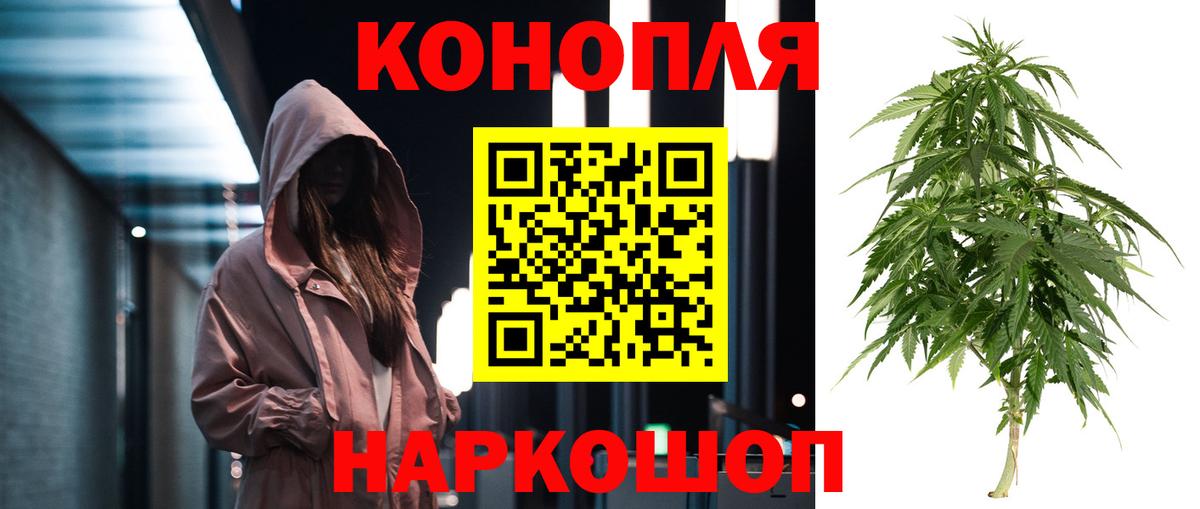 Бошки Шишки гибрид  Бошки Шишки OG Kush  Вход с VPN  Междуреченск  МАРИХУАНА тримм 